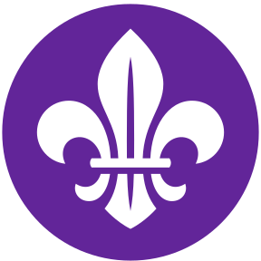 World Scouting